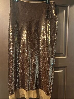 H&M Edition Brown, bronze skirt - US 6